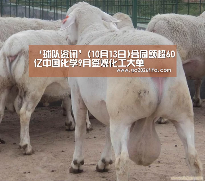 ‘球队资讯’(10月13日)合同额超60亿中国化学9月签煤化工大单(图3) 世界杯赛程