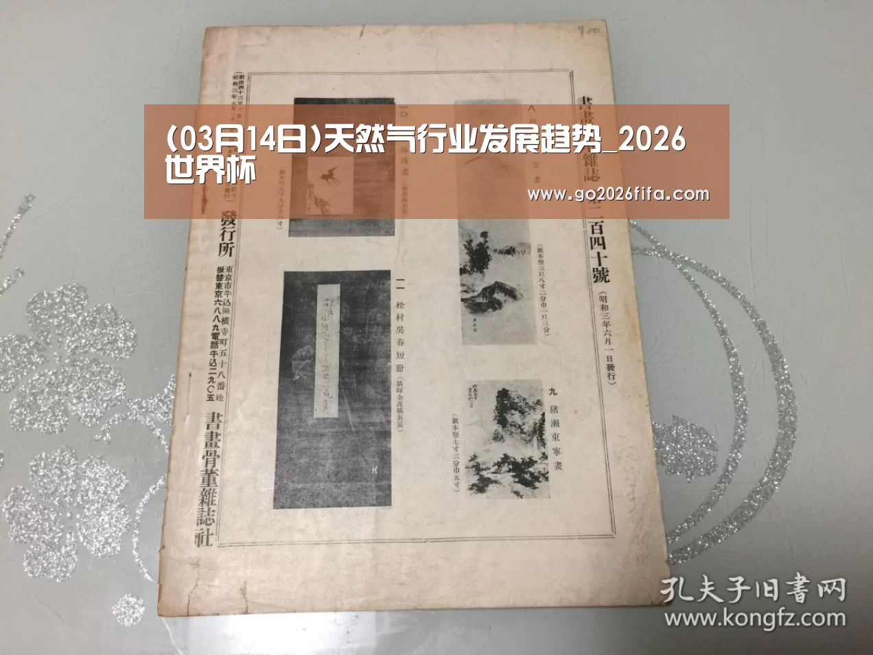 FIFA世界杯