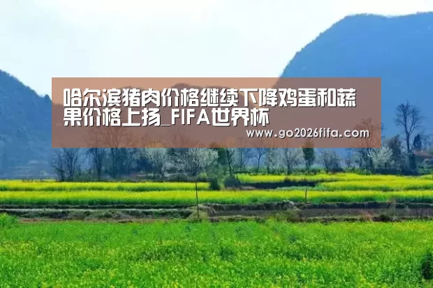 2026世界杯