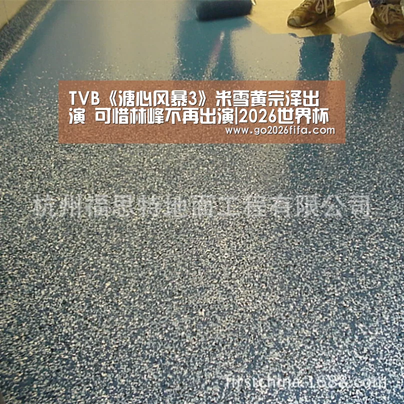 TVB《溏心风暴3》米雪黄宗泽出演 可惜林峰不再出演|2026世界杯(图1) FIFA世界杯