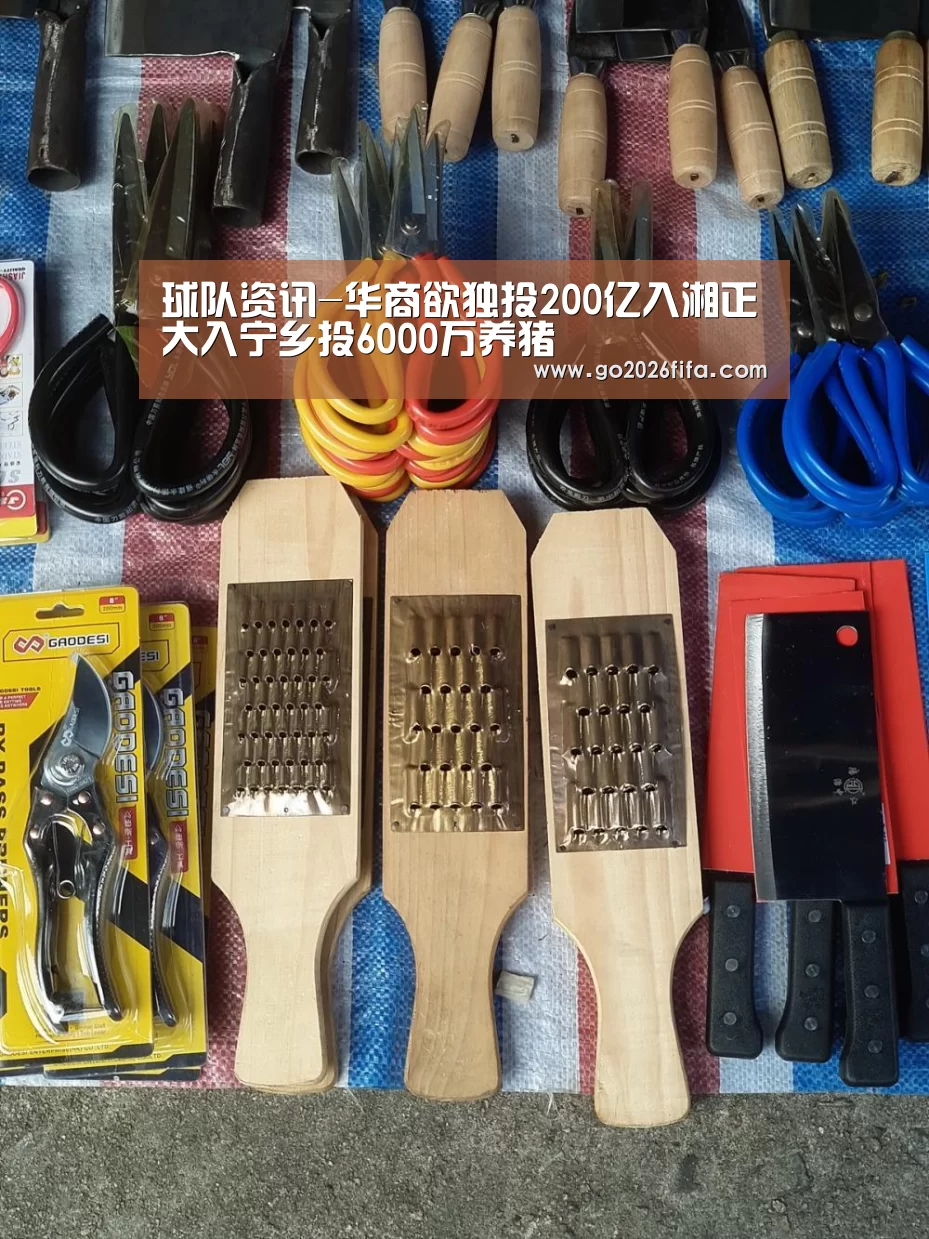 球队资讯-华商欲独投200亿入湘正大入宁乡投6000万养猪(图2) 球队资讯