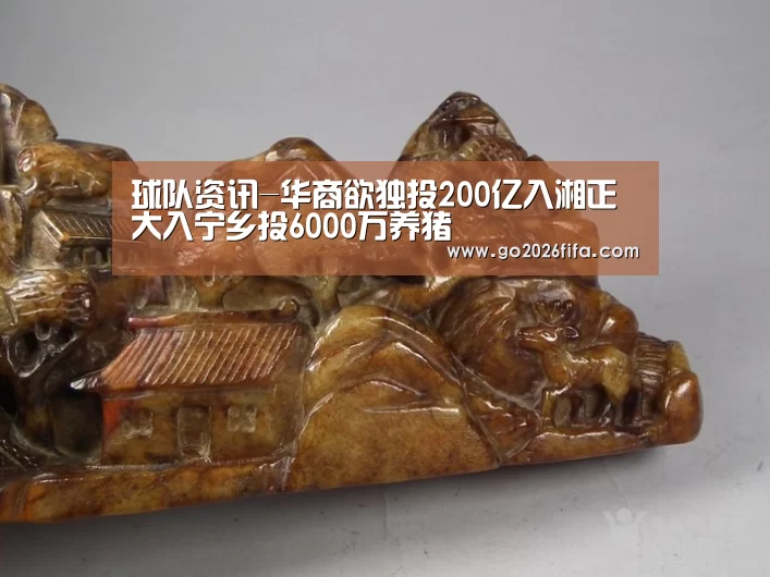 球队资讯-华商欲独投200亿入湘正大入宁乡投6000万养猪(图3) FIFA世界杯