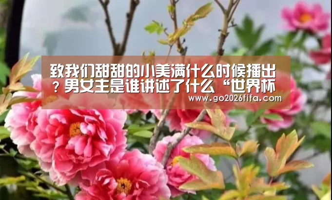 致我们甜甜的小美满什么时候播出?男女主是谁讲述了什么“世界杯赛程”(图3) 世界杯赛程