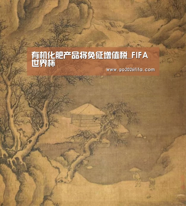 FIFA世界杯