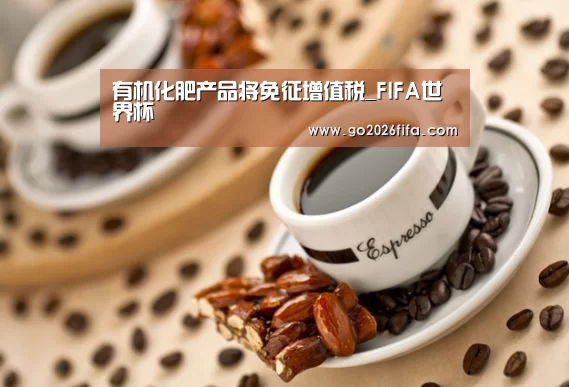 FIFA世界杯