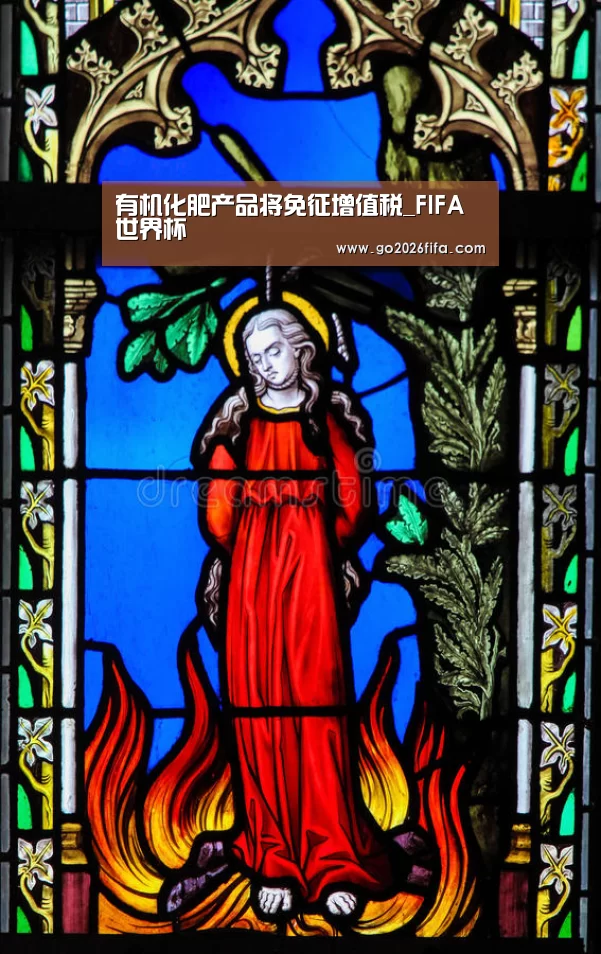 FIFA世界杯