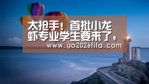 2026世界杯