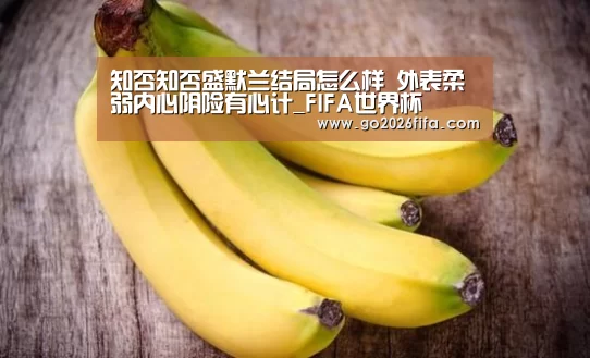 世界杯赛程
